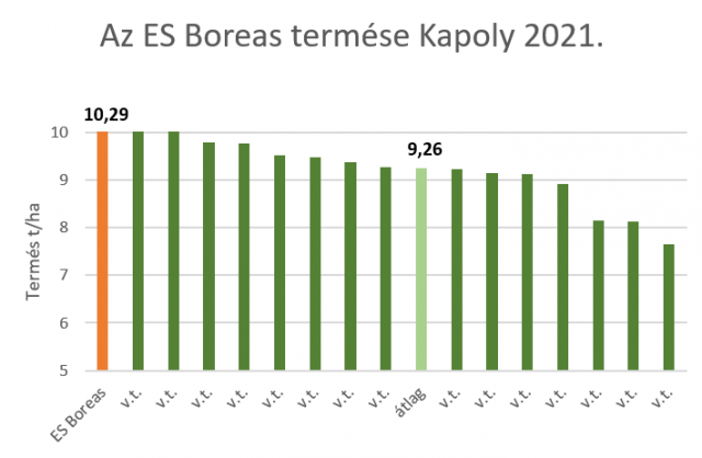es-boreas-kapoly-2021.png
