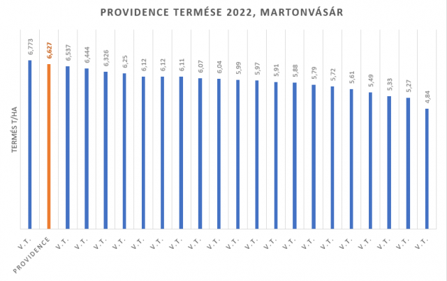 providence-termese-martonvasar-2022.png