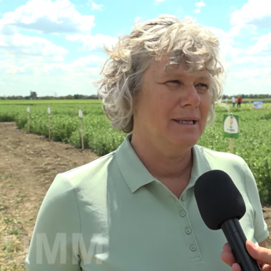 Változtatni kell a termesztéstechnológián az Isterra szakemberei szerint - UMM